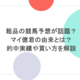 粗品の競馬予想が話題？マイ億君の由来とは？的中実績や買い方を解説